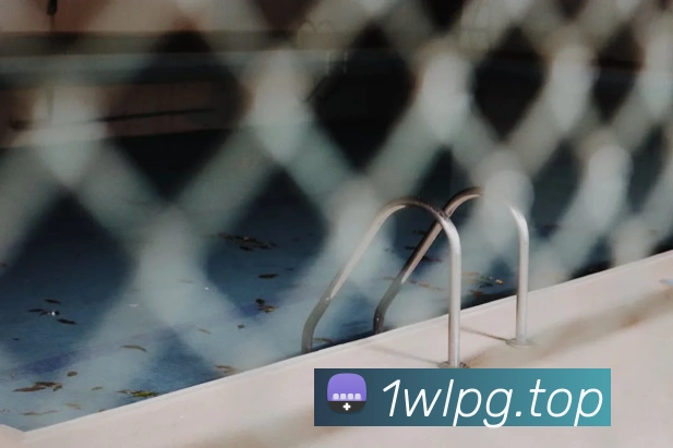 App Interface Preview